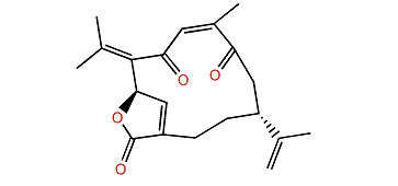 Isogersemolide B